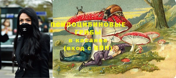 хмурый Лиски
