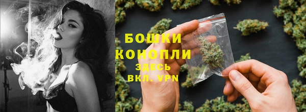 хмурый Лиски