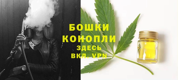 хмурый Липки
