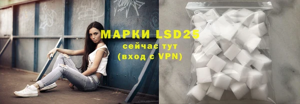 хмурый Лиски