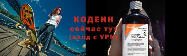 хмурый Липки