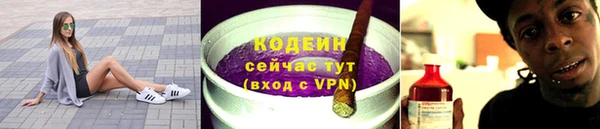 хмурый Липки
