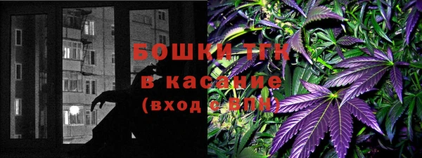 хмурый Лиски