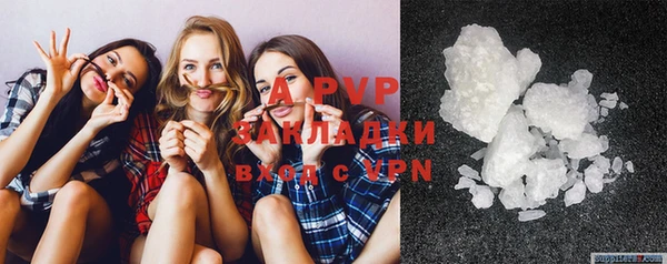 хмурый Липки
