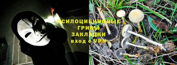 хмурый Лиски