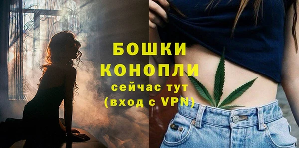хмурый Липки