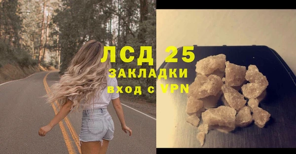 хмурый Лиски
