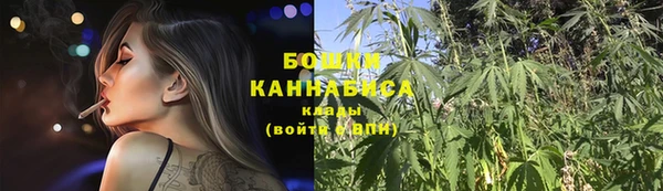 хмурый Лиски