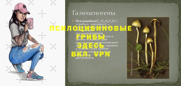 хмурый Лиски