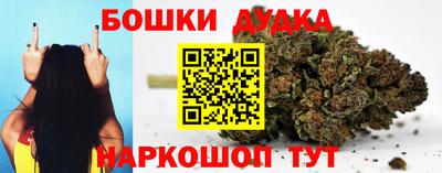 гашик Дубна