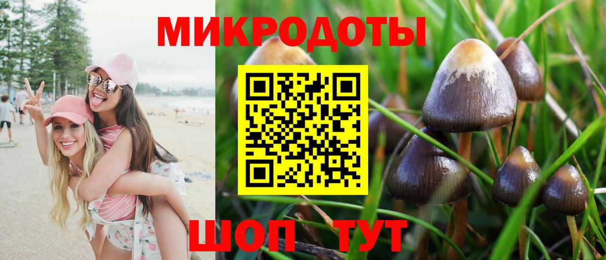 Галлюциногенные грибы GOLDEN TEACHER  Вход с VPN  Феодосия 